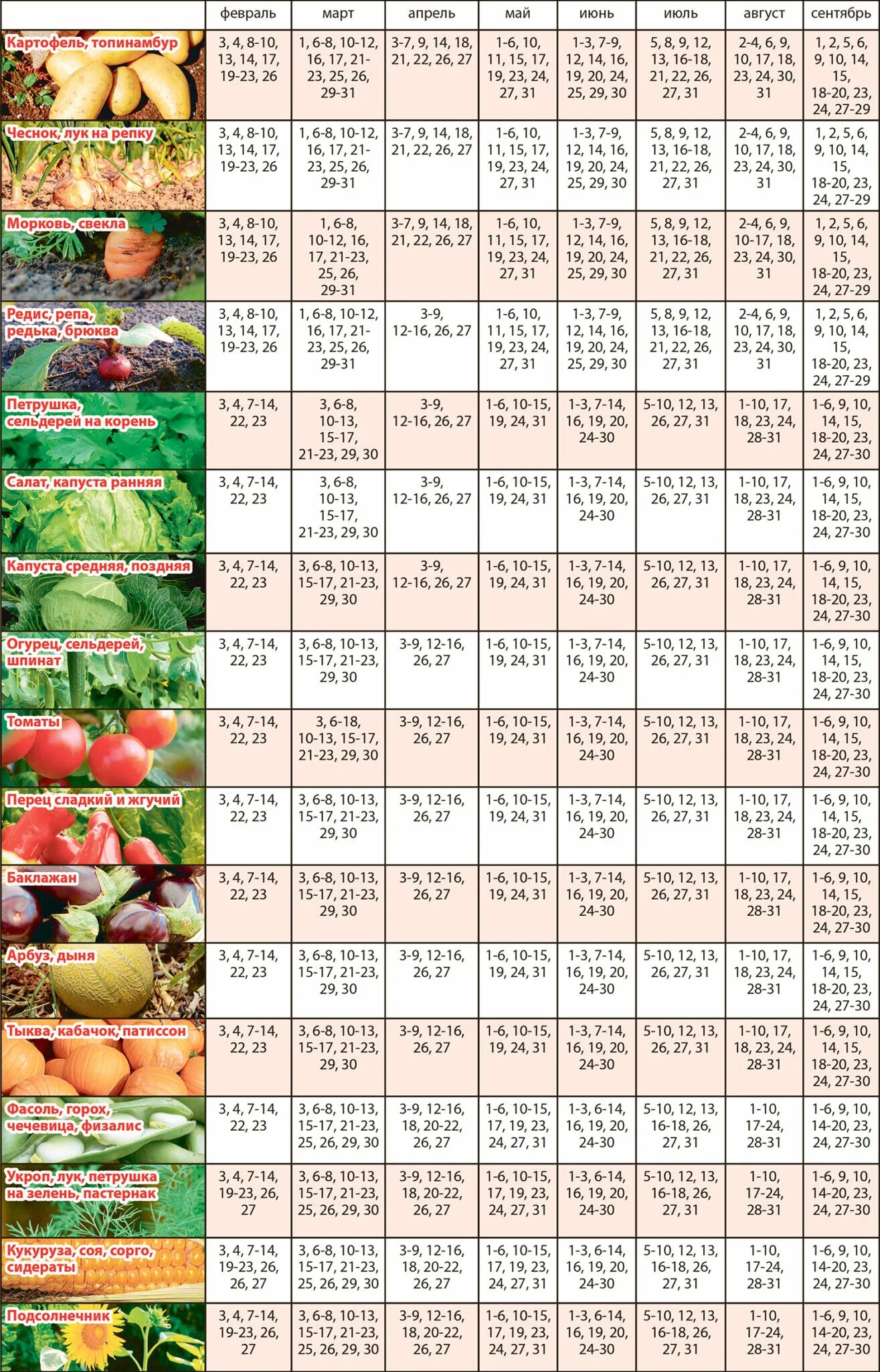 Лунный календарь на 2024г огородника томаты. Календарь огородника на 2022 лунный посевной. Посевной календарь на 2022 для огородников Новгородской. Посевной календарь на 2022 год. Луный посевной календарь на 2022год.