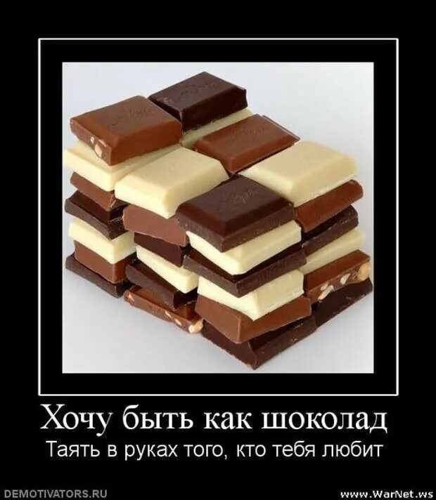Смешные шоколадки. Прикольный шоколад. Шоколад прикол. Демотиваторы про шоколад. Все ест все давай сладкое любит