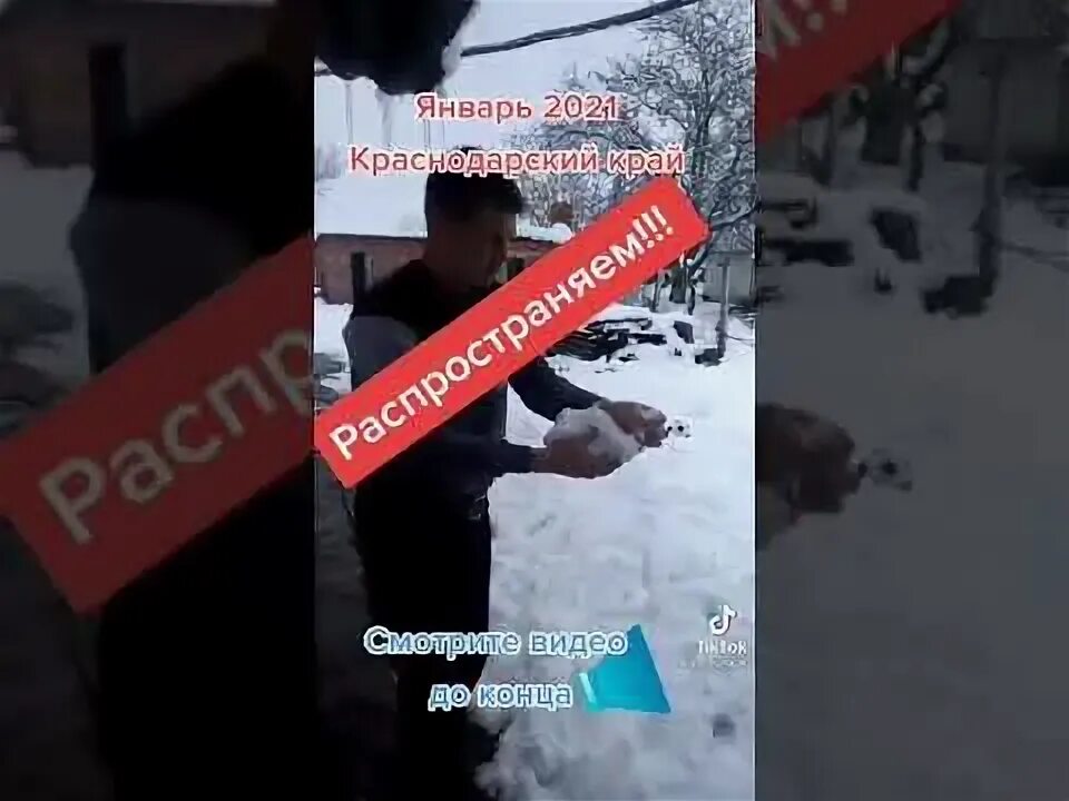 Тая выпавший ночью. Тая выпавший ночью