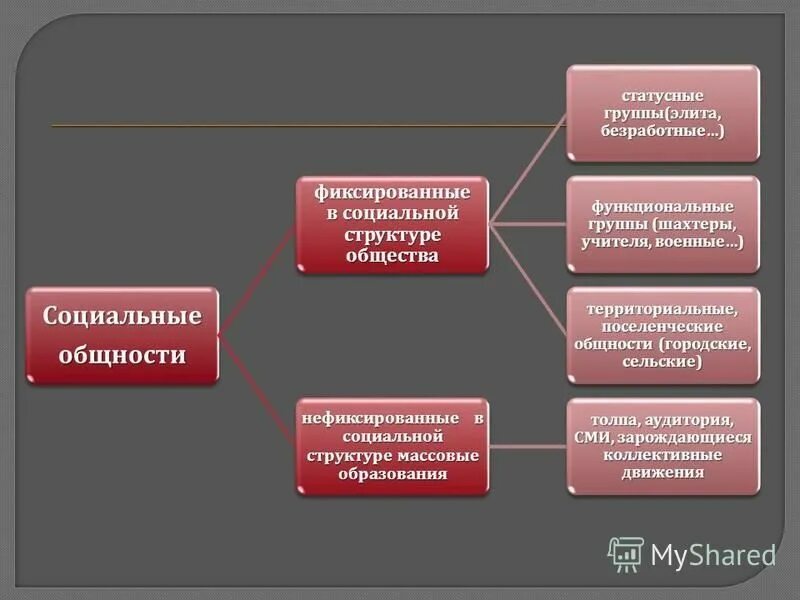 В поселенческой структуре общества выделяют. Поселенческая структура. Территориально поселенческая структура общества. Поселенческие социальные группы. Структура соц группы.