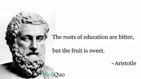 The roots of education are bitter