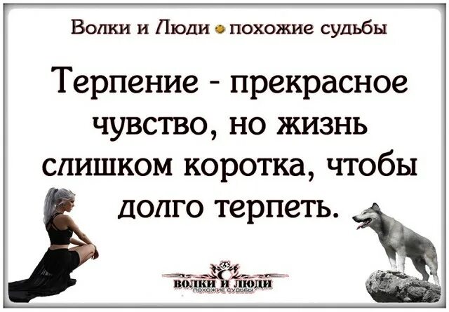 Терпение судьбы. Быстротечность жизни. Терпение судьбы. Красивые слова про терпение. Афоризмы про сплетни.