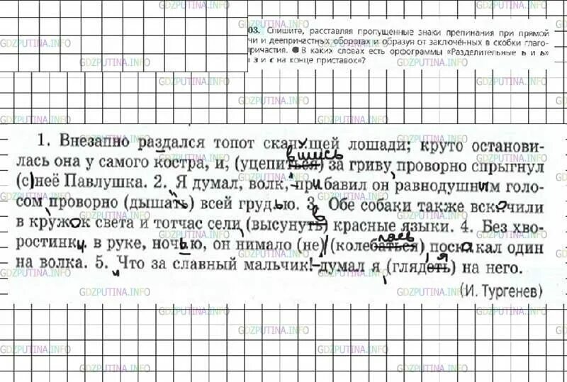 Расставляя пропущенные знаки препинания. Упражнения по пунктуации 7 класс русский язык. Спишите расставляя знаки препинания. Списать расставить знаки препинания.