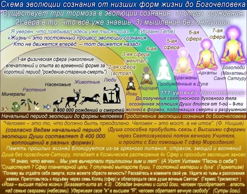 Душа сколько минут. Стадии развития души. Этапы развития души человека. Уровни развития человека. Уровни развития души.