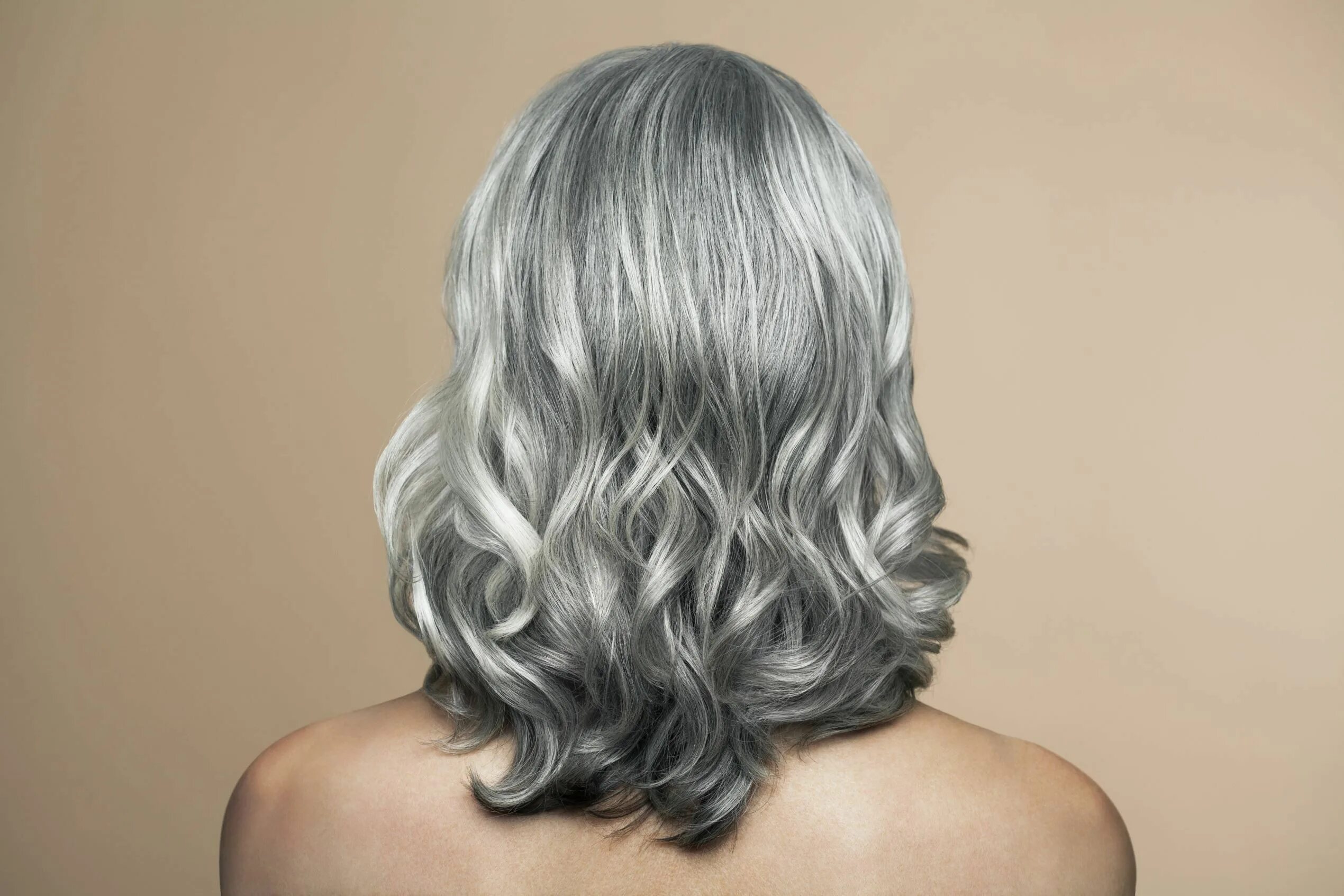 Gray hair. Gray hair