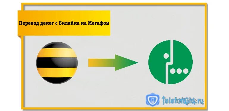 Перевести с МЕГАФОНА на Билайн. Перевести деньги с Билайна на МЕГАФОН. Как перекинуть деньги с МЕГАФОНА на Билайн. Как перевести деньги с МЕГАФОНА на Билайн. Перевести с телефона мегафон на билайн