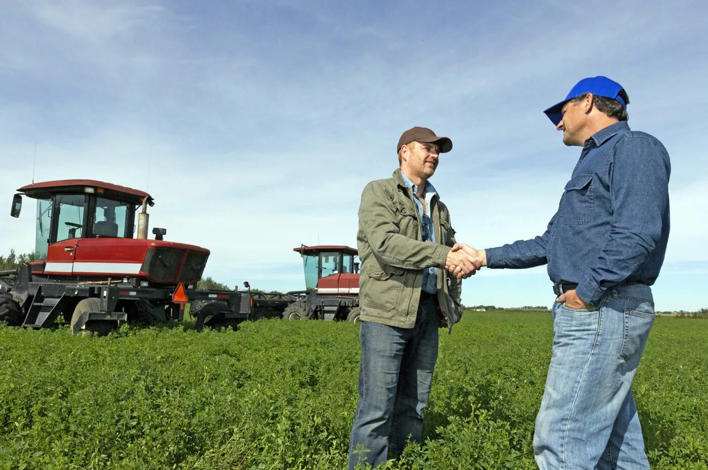 Фермер должен быть. Фермер должен быть. Профессии в фермерстве. Американский фермер. Дача.