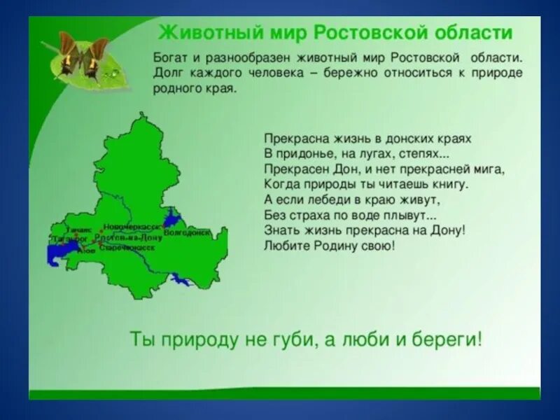 Простейшие ростовской области. Животный мир Ростовской области. Книги о природе Донского края. Разнообразие природы Ростовской области. Природа Ростовской области проект.