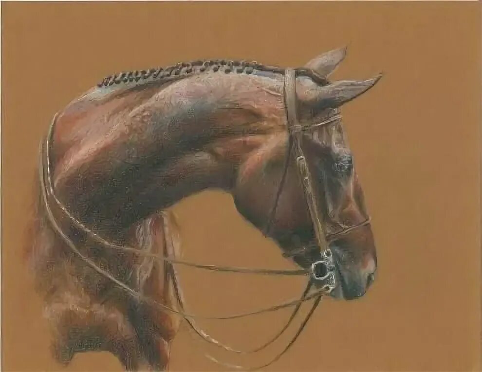 фотосессия с лошадьми. фотосессия с лошадьми образы. как нарисовать гнедую лошадь. фотосессия с лошадьми образы. 124 лошади.