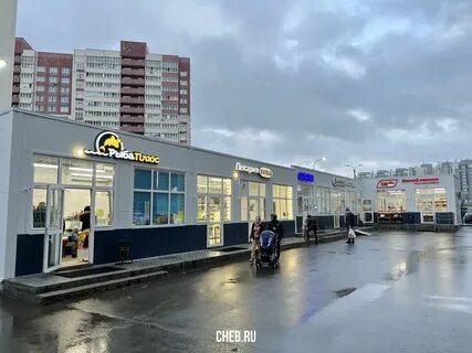 Простор чебоксары