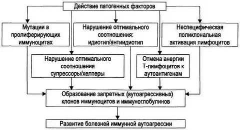 Иммунной аутоагрессии