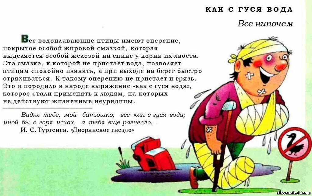 Много воды утекло значение фразеологизма. Как с гуся вода. Иллюстрация к фразеологизму. С гуся вода фразеологизм. Сказочные фразеологизмы.