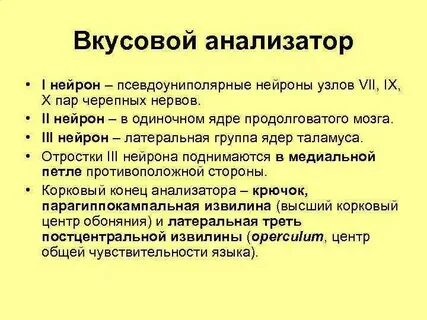 Проводниковый отдел вкусовой системы