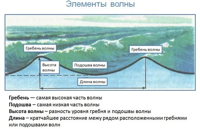 Подошва волны это. Элементы волны. Строение волны. Высота волны схема. Элементы волны схема.