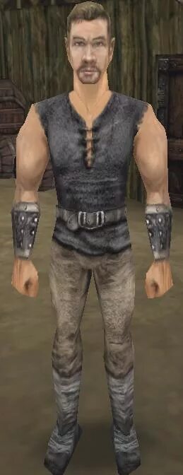 Готика герой. Gothic 2 безымянный. готика 1 безымянный. безымянный герой готика 3 мемы. безымянный герой готика 1.