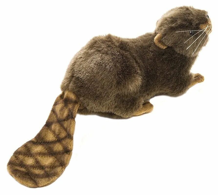 нутрия болотный бобр. западносибирский речной бобр. канадский бобр (castor canadensis). мягкая игрушка hansa бобр 11 см. бобры плотина.