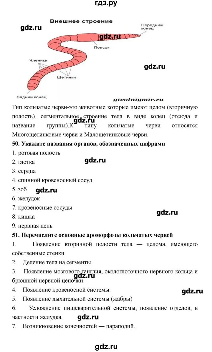 Биология 8 класс тетрадь захаров сонин. Гдз по биологии 8 класс Сонин Захаров. Рабочая тетрадь по биологии 8 класс Захаров. Гдз по биологии 8 класс рабочая тетрадь Сонин Захаров. Гдз по биологии 8 класс рабочая тетрадь Захаров.