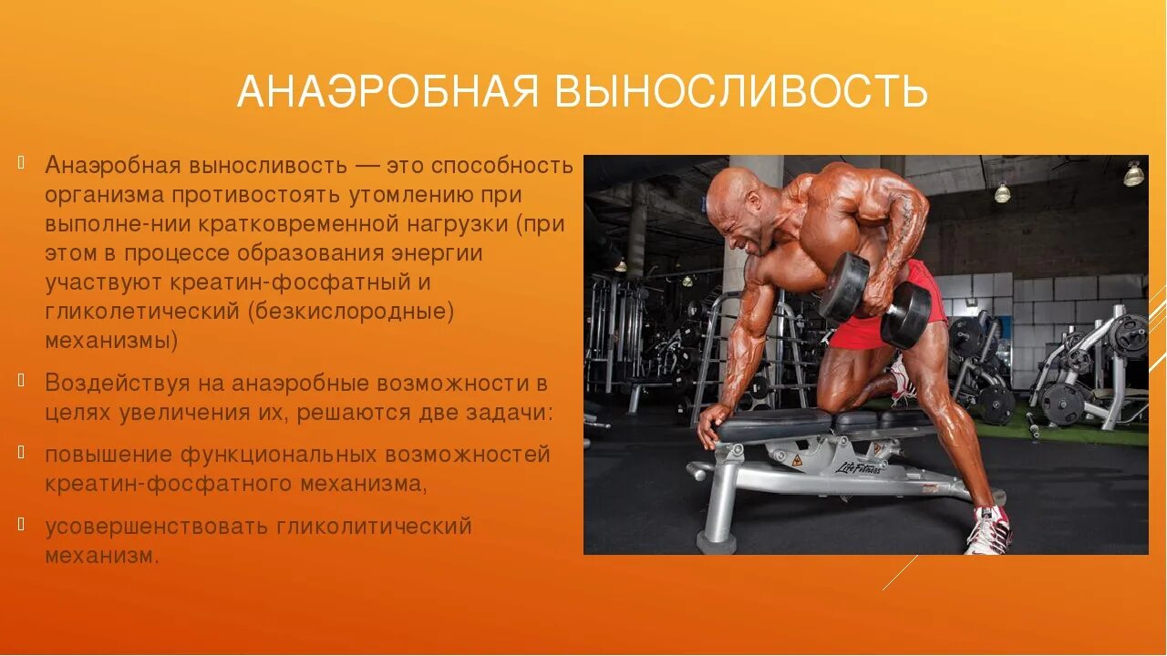 Противостоять утомлению называется
