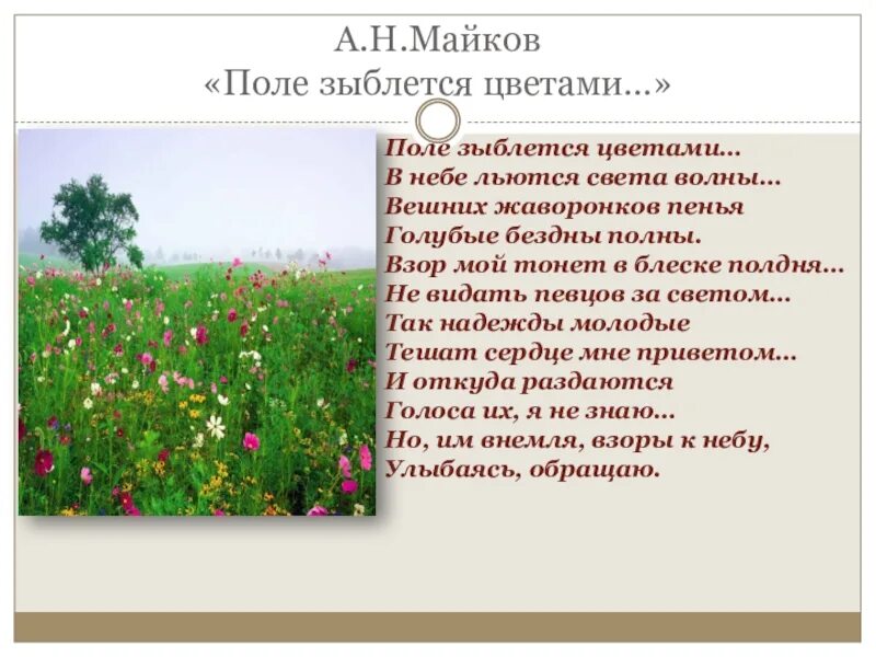 сообщение поэзия родной природы