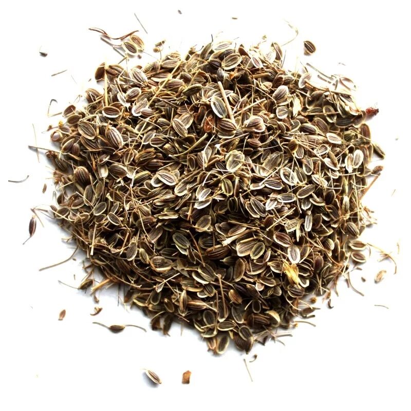 сабельник сушеный. расторопша (семена, 100гр. семена лечебных трав. семена лекарственных трав. семена травы.