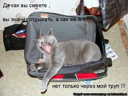 Что значит отдыхать