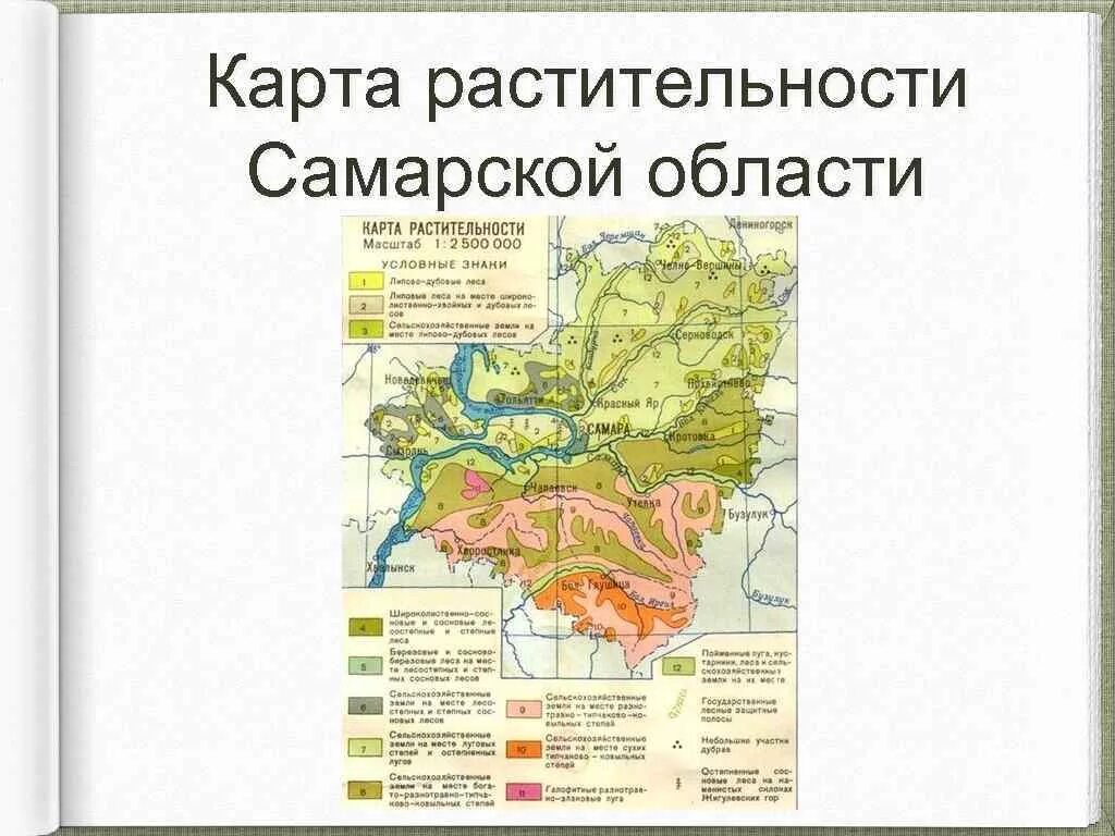 В какой зоне находится самарская область. Природные зоны Самарской области. Карта грунтов Самарской области. Карта почв Самарской области. Карта растительности Самарской области.