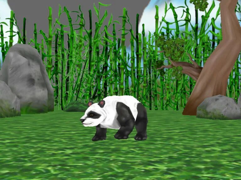 9pandas 3d