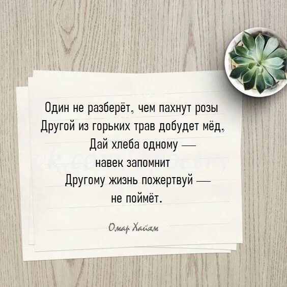 Один не разберет чем пахнут розы другой. Один не разбереш чем пахнут Оозы. Один не разберет чем пахнут розы другой из горьких трав добудет мед. Один не разберет чем пахнут розы. Другой из горьких трав добудет мед.