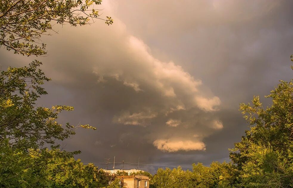 южный ветер погода