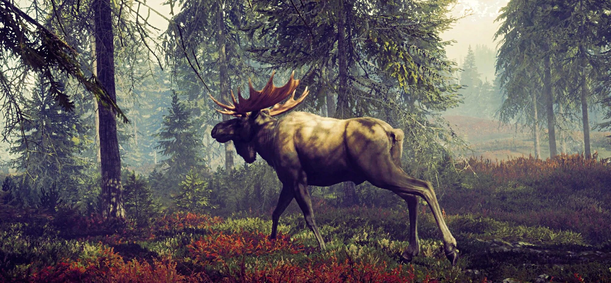 Thehunter: call of the wild. Олень рузвельта the hunter. Игра охота на лося. Лось the hunter call of the wild. Аляска the hunter: call of the wild.