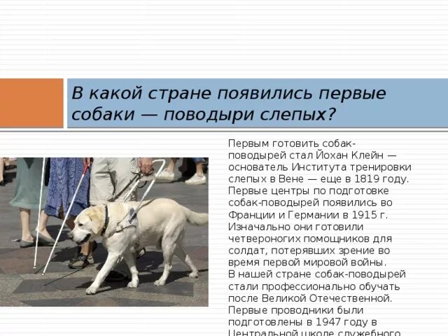 Джек поводырь ответы 4 класс контрольная работа. Джек поводырь ответы 4 класс контрольная работа