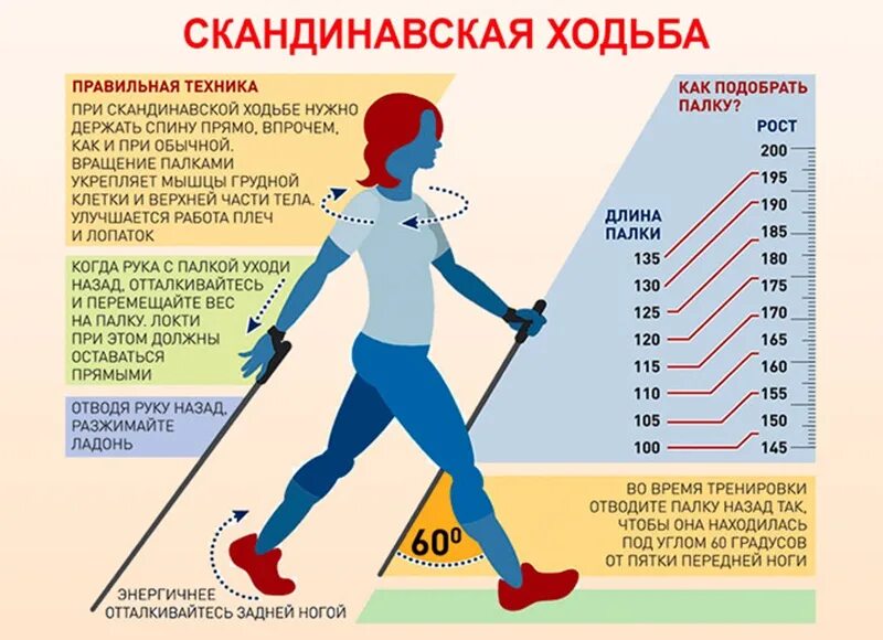 Скандинавская ходьба урок начинающим. Скандинавская ходьба как выбрать палки по росту таблица. Палки для скандинавской ходьбы таблица размеров. Как подобрать палки для скандинавской ходьбы по росту таблица. Какой высоты должны быть палки для скандинавской ходьбы.