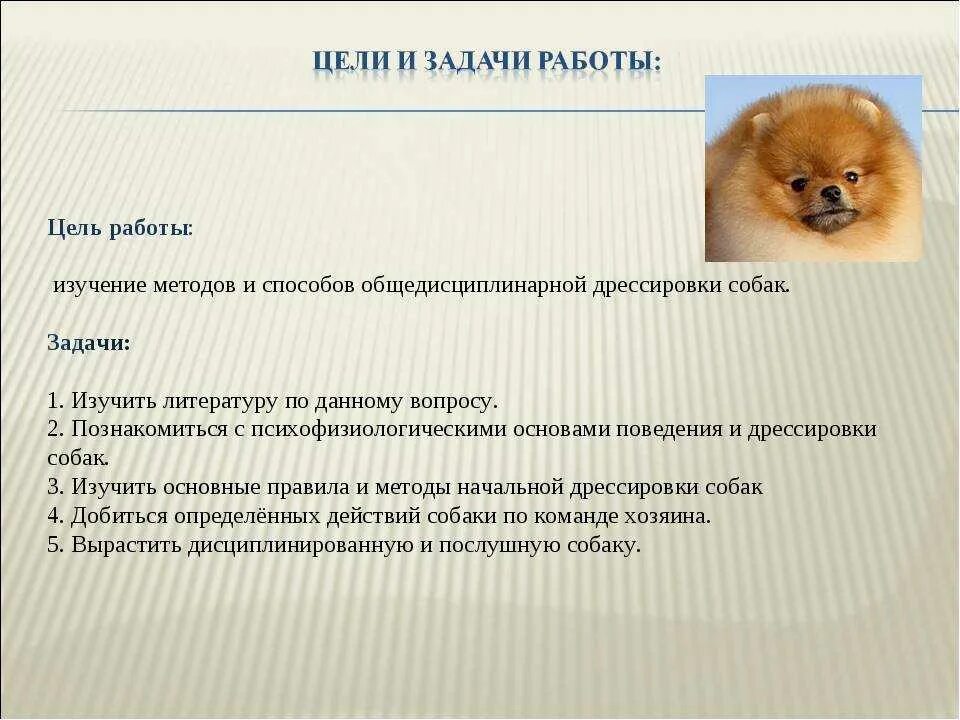 Задача собака