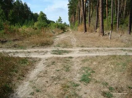 Дорога ритуал