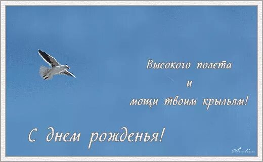 Всегда желаем быть на высоте