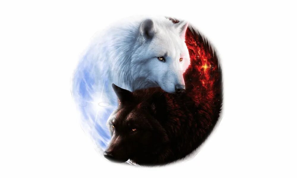 Волк добрый и злой. Два волка. Два волка песня. Два волка песня. Притча о волках.