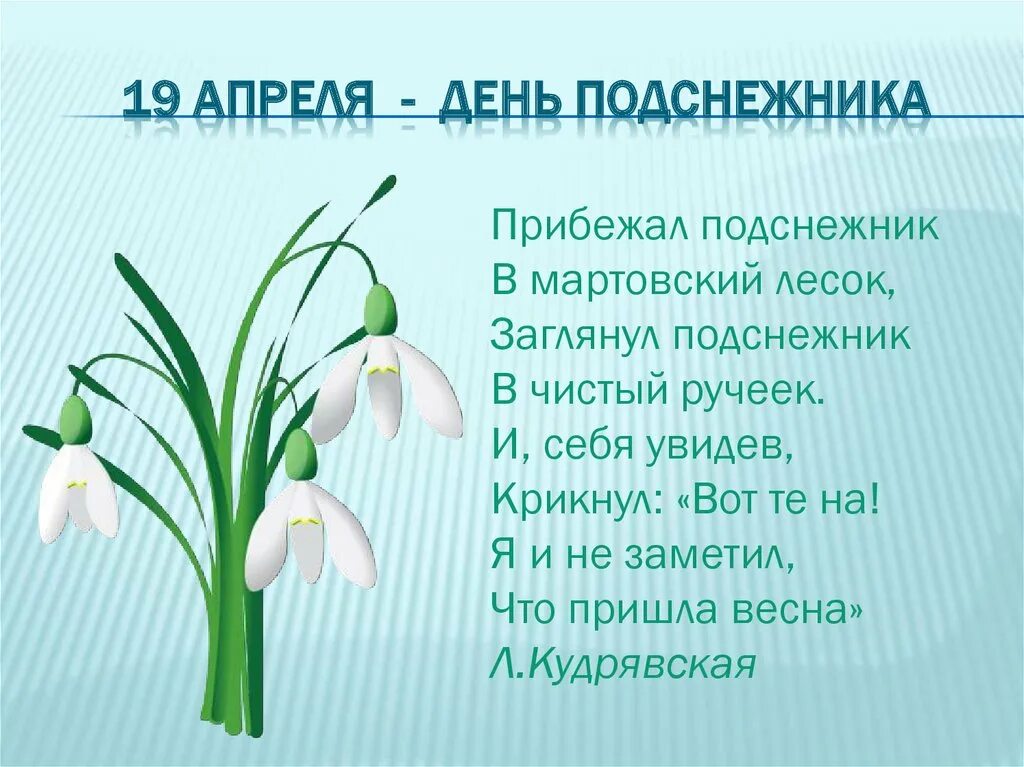 Стих про Подснежник. Подснежник для детей. 19 Апреля день подснежника. Интересные факты о подснежниках для детей. Девиз подснежники