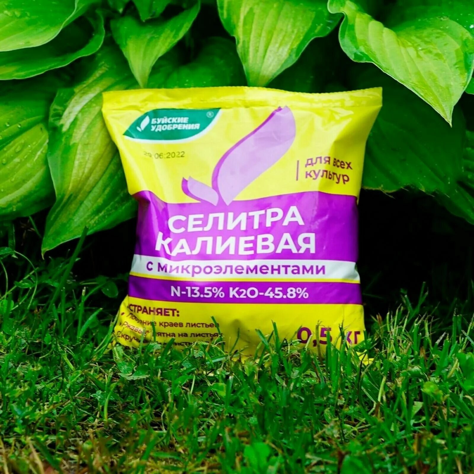 Буйские удобрения селитра. Калиевая селитра для чего она. 5 кг. Калийная селитра удобрение. Калиевая селитра с микроэлементами.