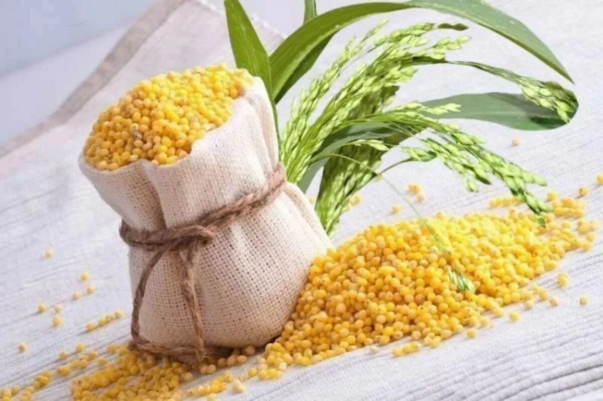 Пшено фото. Пшенная крупа. Пшенная крупа крупа. Просяная крупа. Крупы из проса.