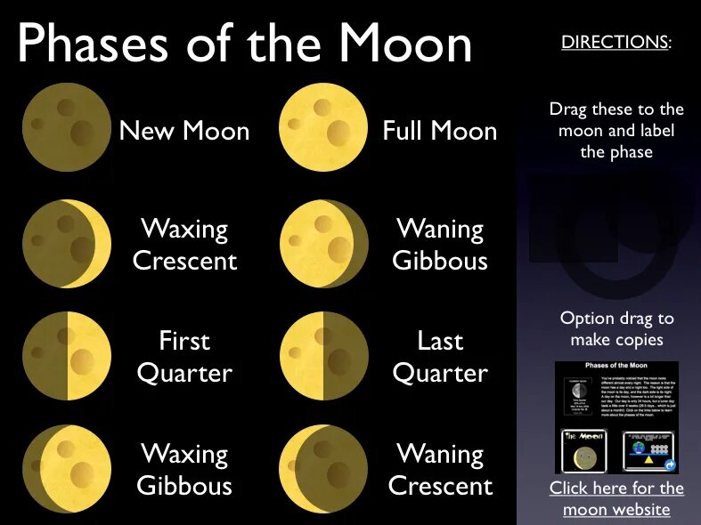 Предложение moon. Moon phases. Phases of the Moon last Quarter. Phases of the Moon in English.