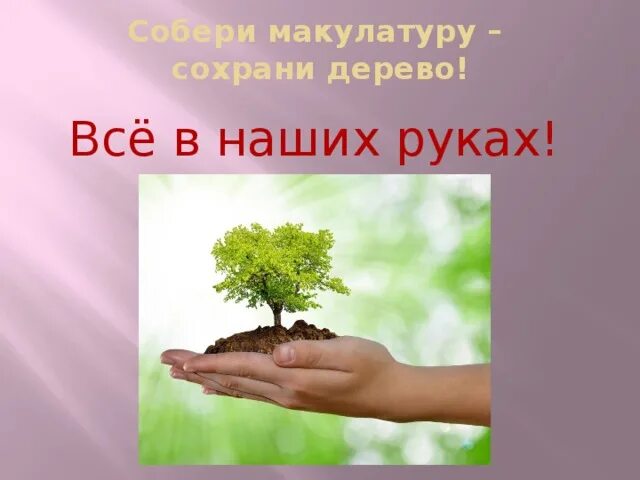 Как можно спасти дерево. Сохраним дерево макулатура. Берегите деревья. Собери макулатуру сохрани дерево. Собирая малулатуру бережем дерево.