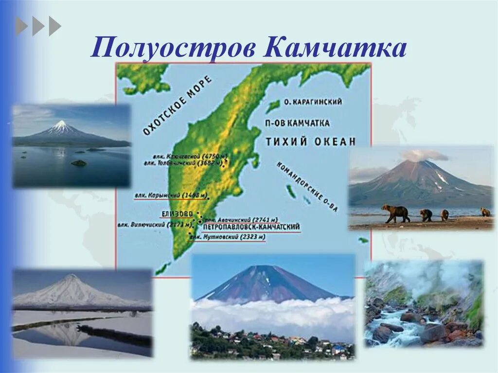 Примеры полуостровов в россии. Камчатка на карте. Полуостров Камчатка. Полуостров Камчатка картинки. Полуостров Камчатка полуострова.