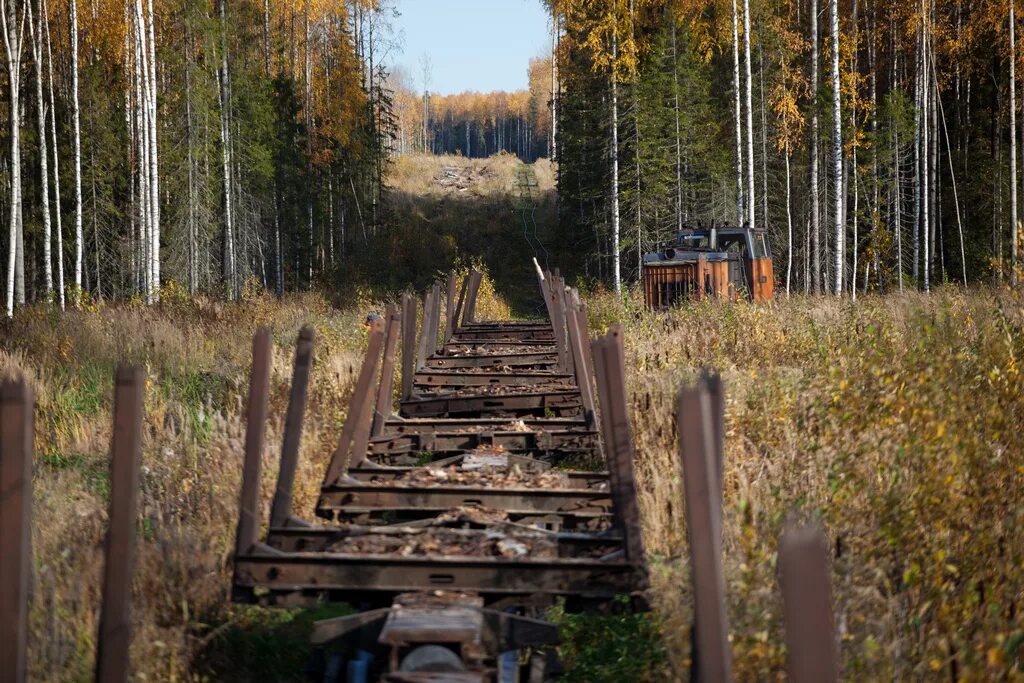 УЖД леспромхоз СССР. Узкоколейка Туголесье. Железная дорога УЖД. УЖД леспромхозов.