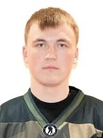Nhliga org