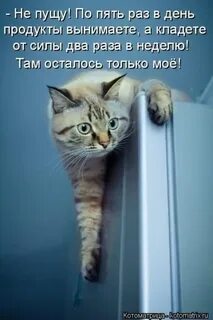 Вдруг похолодало