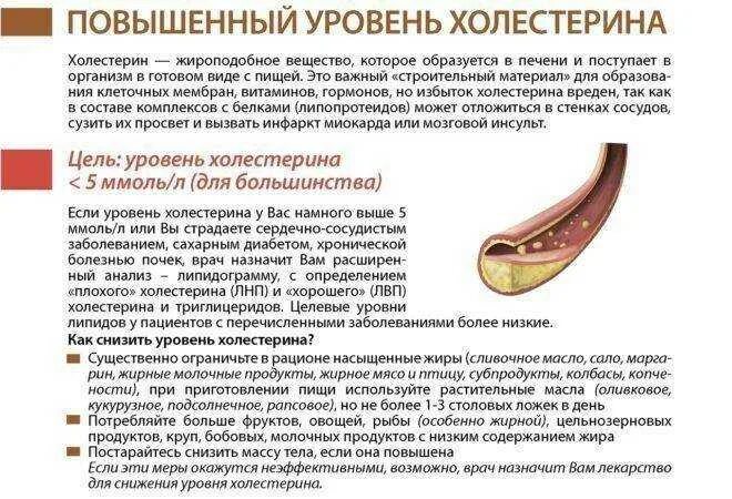 Почему от чего по какой причине