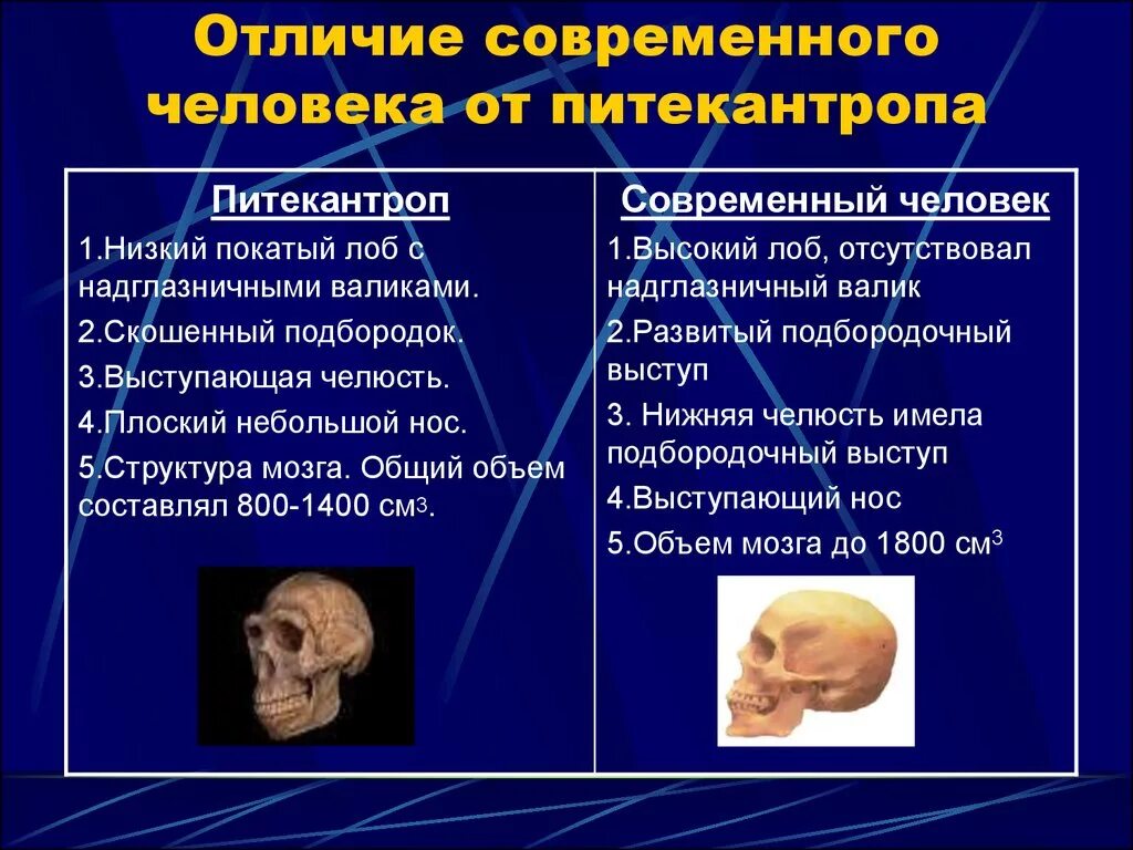 Чем отличается современная. Отличие первобытного человека от современного. Отличие древнего человека от современного. Сходства первобытного человека и различия. Отличия современного человека от древнего человека.