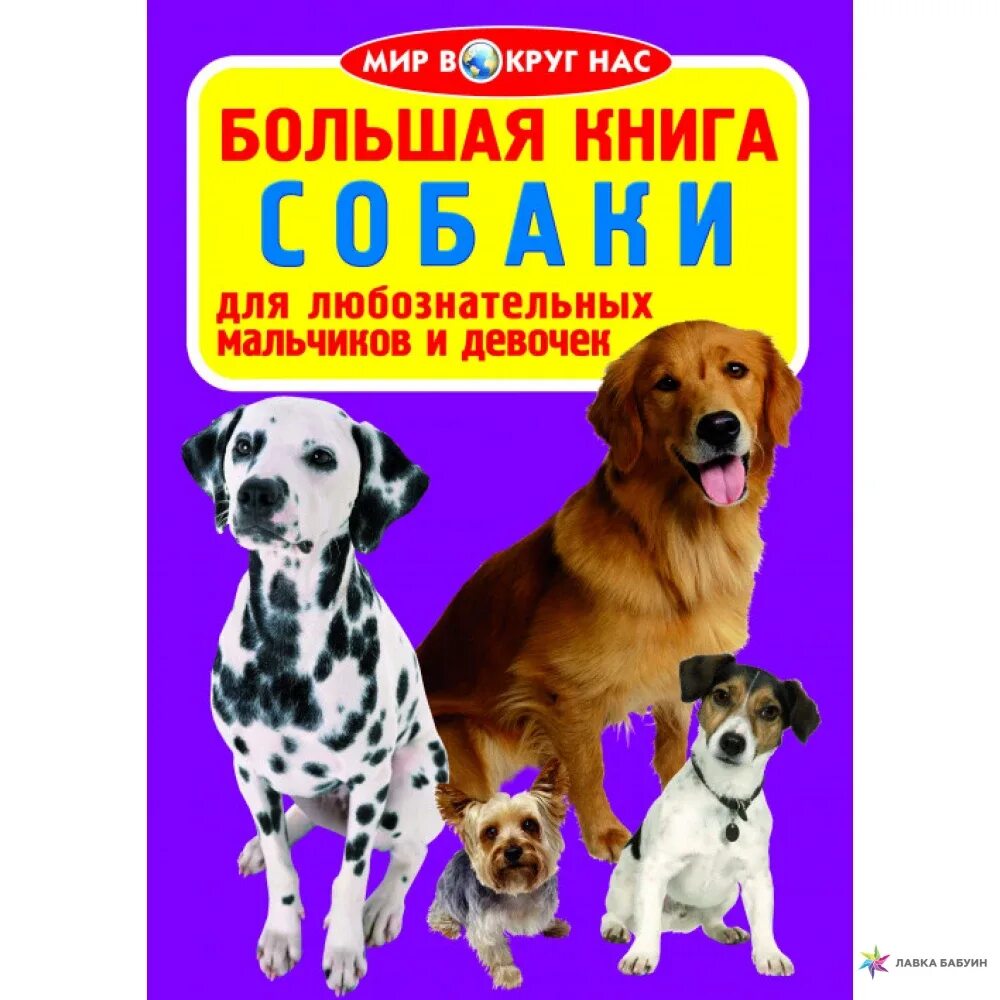 Книги о собаках отзывы. Книги о собаках для детей. Собака с книжкой. Большая книга собаки. Детские книги про собак.