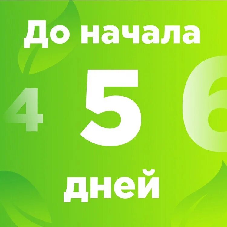 Сколько осталось до 5 июня 2024. 5 Дней. Осталось 5 дней. Осталось 5 дней картинки. 5 Дней картинка.