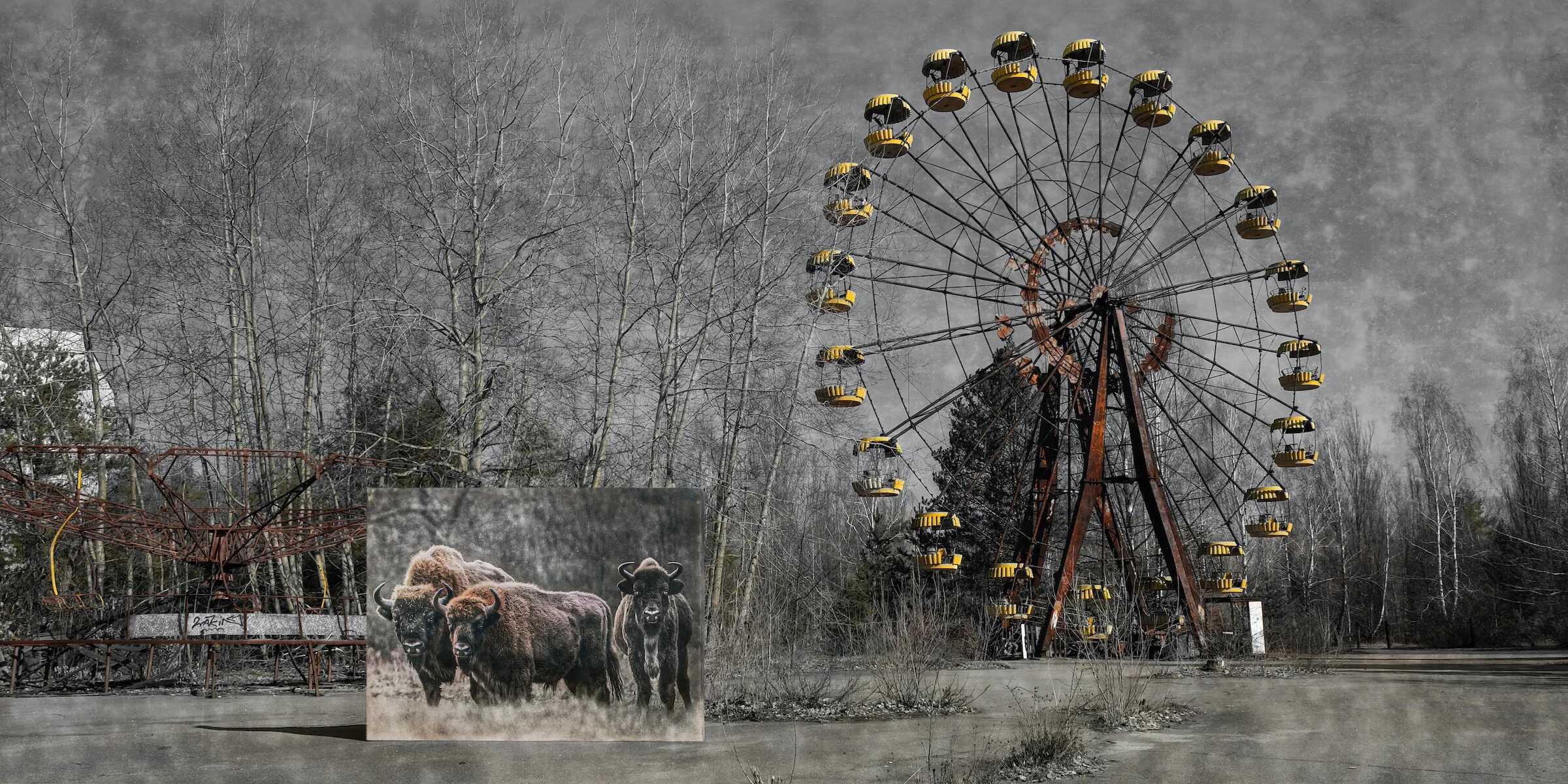 Чернобыль перерождение. Припять ЧАЭС 2021. Припять 2022. Чернобыль Припять 2022. Припять ЧАЭС 2022.